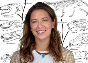 professor wearing a tan sweater and white shirt in front of black and white drawings of dinosaur bones